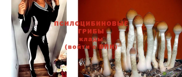 мескалин Покачи