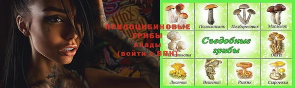мескалин Покачи