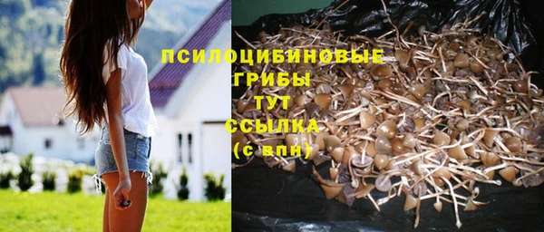 винт Покровск