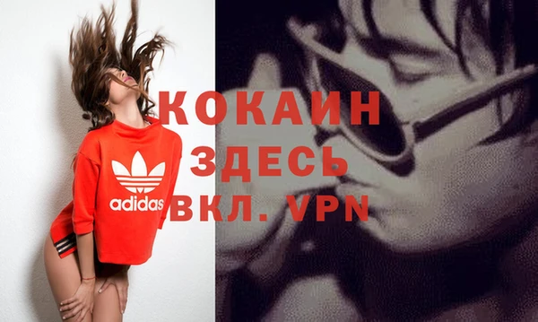 сатива Горняк