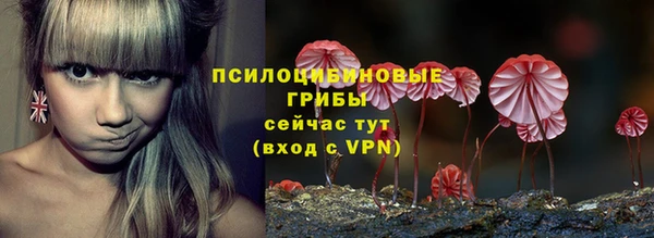 стаф Покров